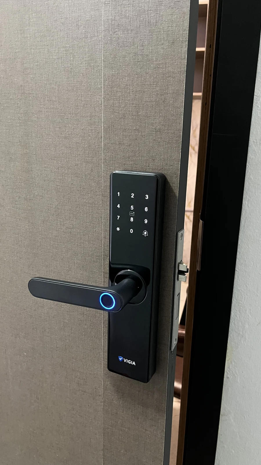 Detalle de cerradura VIGIA en puerta gris